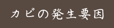 畳の正しいお手入れ方法