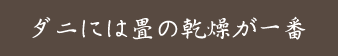 ダニには畳の乾燥が一番
